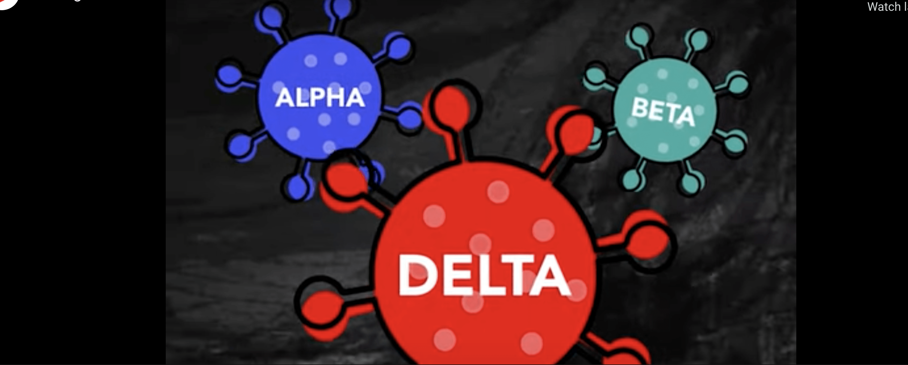 3 things to know about the Delta variant of COVID-19