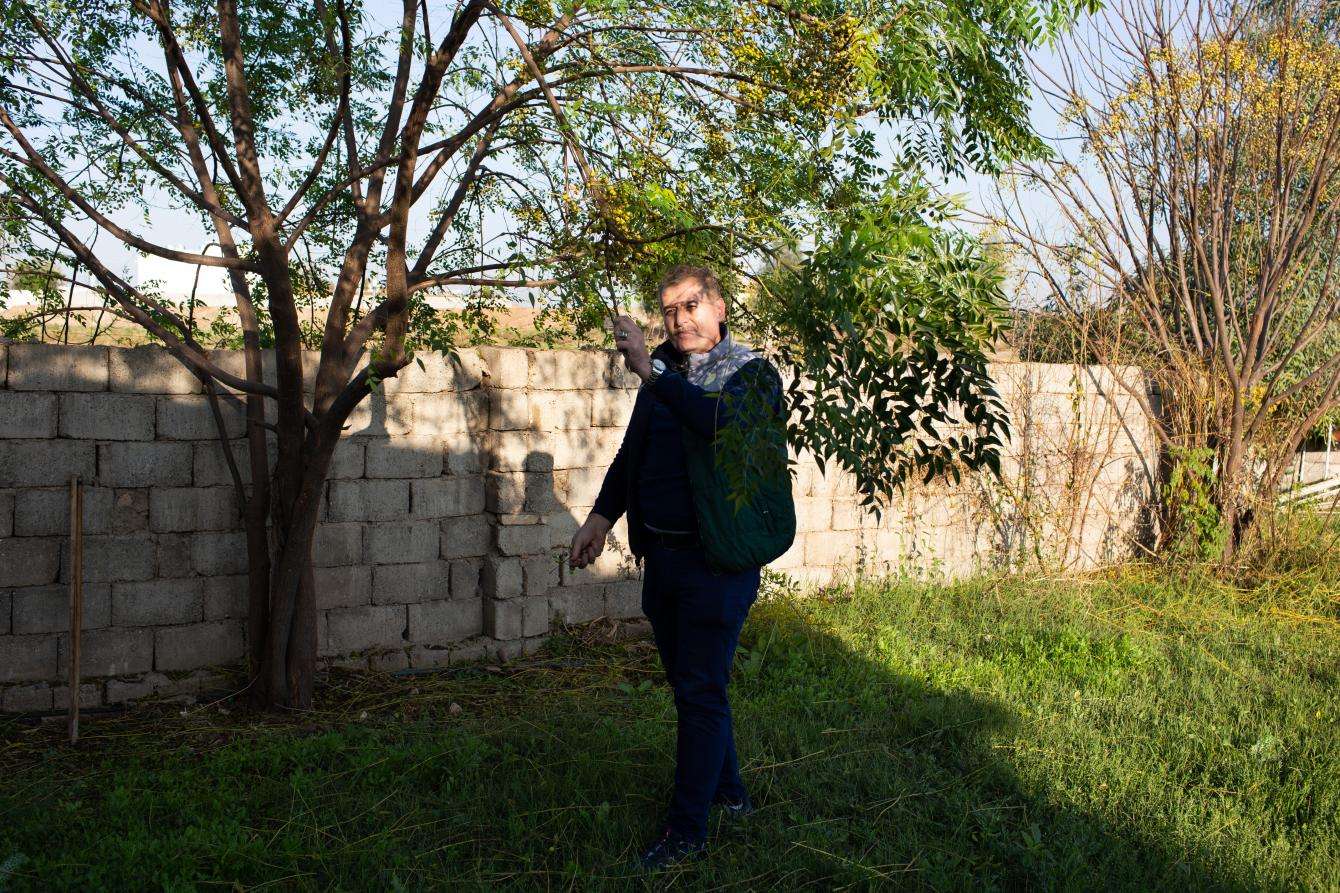 A man stands by a tree