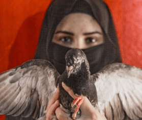 A Syrian girl holds a bird up against a red wall.